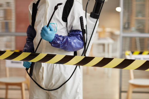 Professional Trauma Scene Cleanup technician working in Knightstown, IN